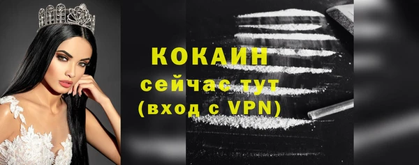 стаф Аркадак