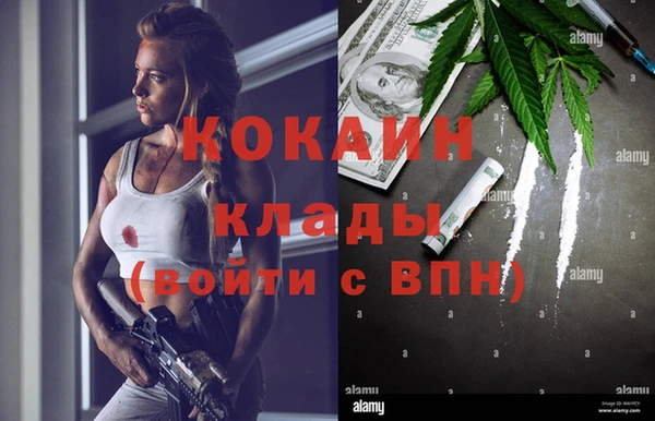 стаф Аркадак
