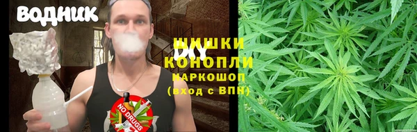 бутират Арсеньев
