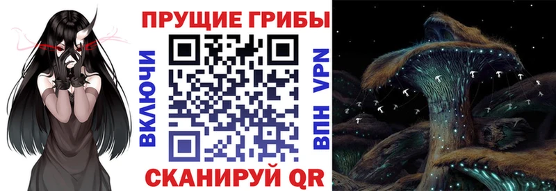 Галлюциногенные грибы прущие грибы  ОМГ ОМГ маркетплейс  Полесск 